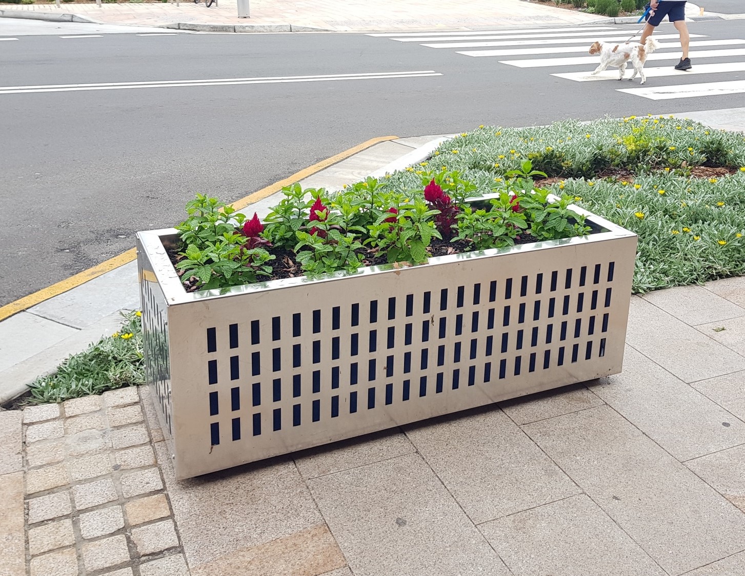 Street Planter