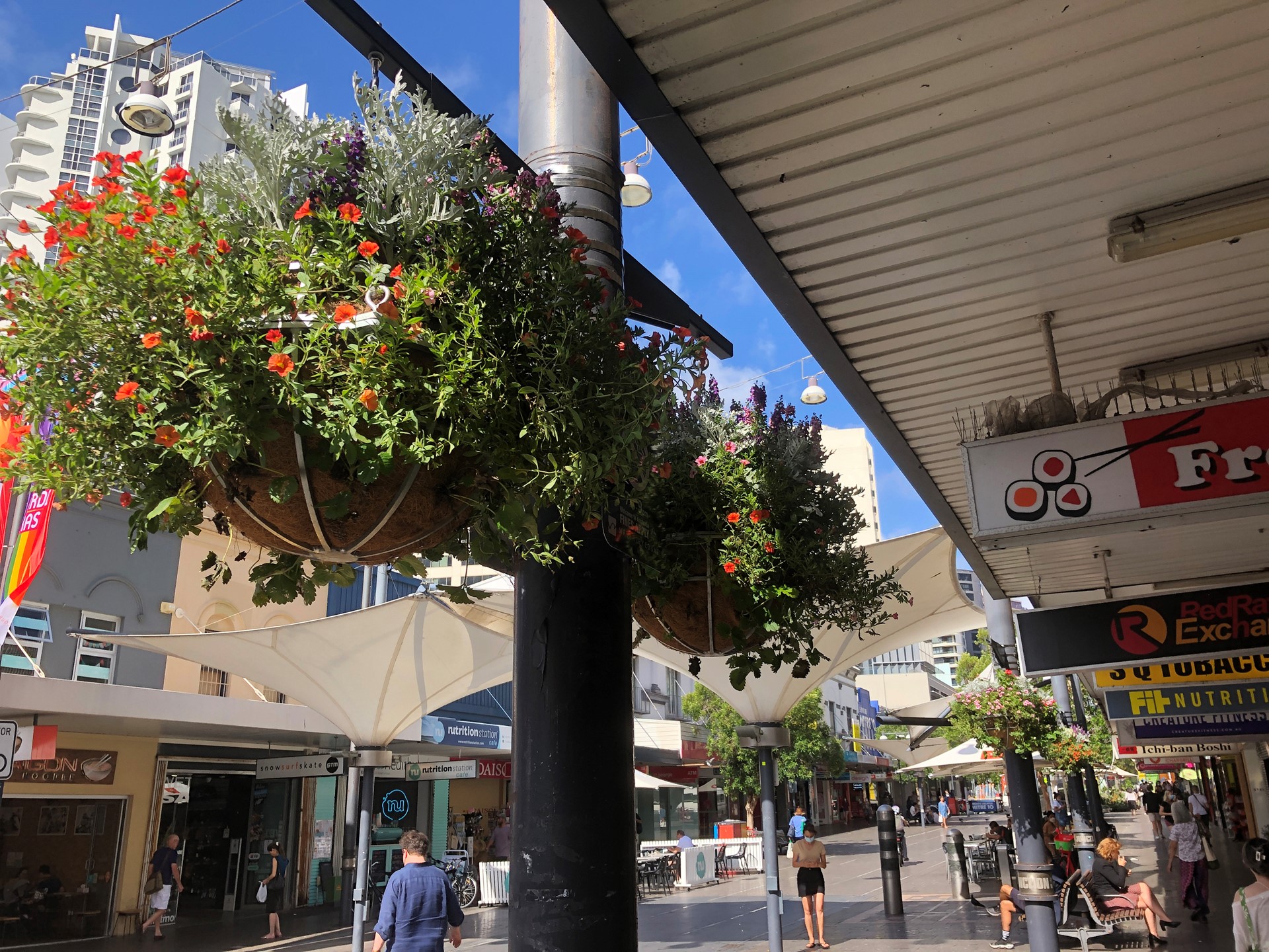 Commercial Hanging Baskets