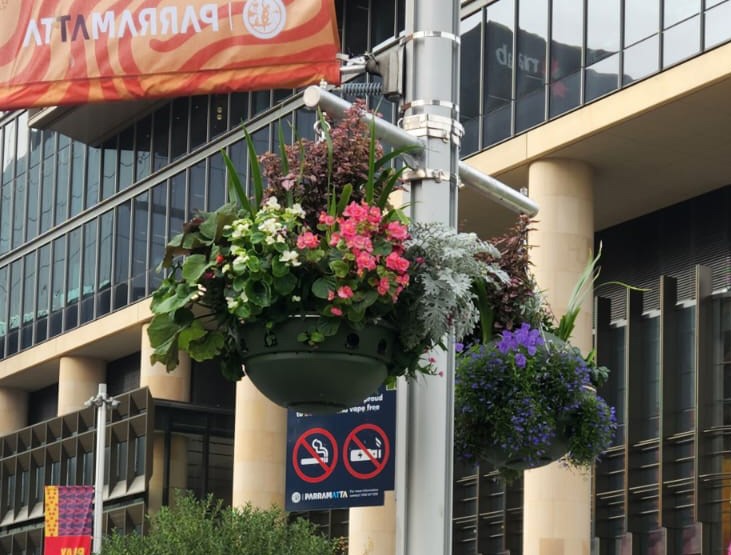 Hanging Baskets